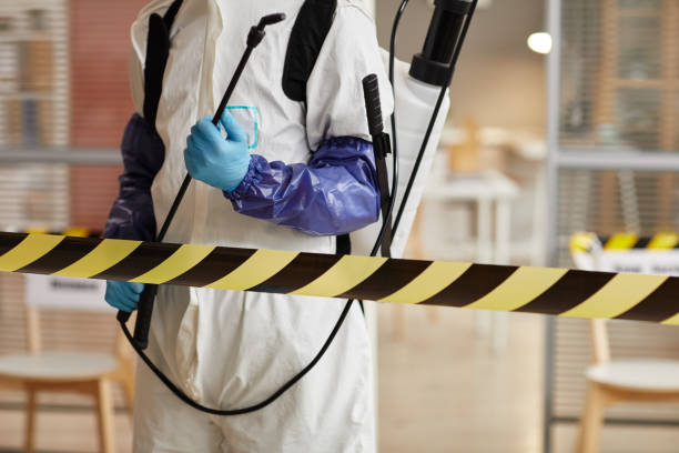 Professional Hoarding Cleanup technician working in Bogota, NJ